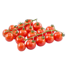 Noordertrots tros cherry tomaatjes